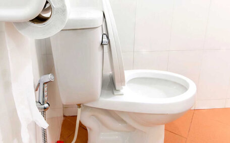 Bleach Unclog Drain?